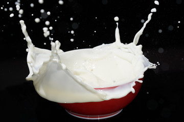 Falling strawberry on milk makes many splashes and swirl in red bowl.