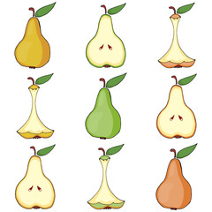 Pear whole, pear core, pear half.