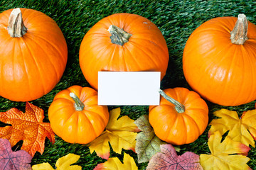 view of halloween pumpkins with placard.