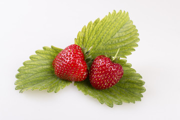 Fragole rosse su foglia verde