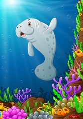 Illustration of under the sea