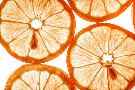 slices of orange - macro detail