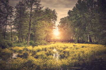 Obraz premium Old bridge in the nature a sunny day