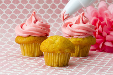 human hand decorating cupcakes.