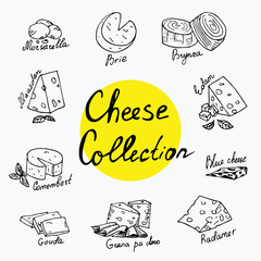 Cheeses collection Isolated