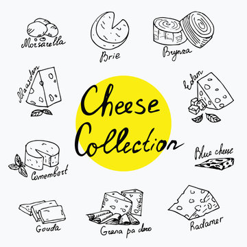 Cheeses collection Isolated
