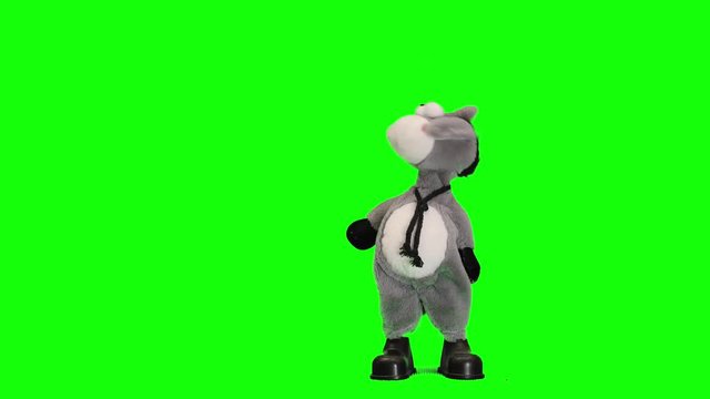 donkey puppet dancing