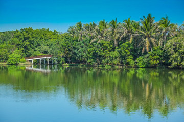 Obraz premium The bridge over the water to nature