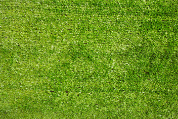 Obraz premium artificial grass