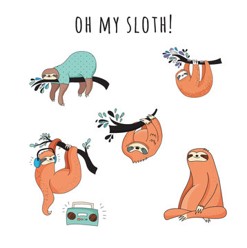 Cute hand drawn sloths illustrations, funny vector design