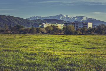 Fototapeta na wymiar Spring landscape with snowy Bucegi mountains, old block of flats and blooming dandelion fields in the outskirts of Brasov city, Romania.