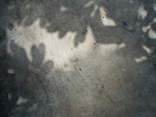Shadow of leaf on Concrete floor
