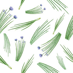 Fototapety  Watercolor seamless pattern hand drawn herb chives.