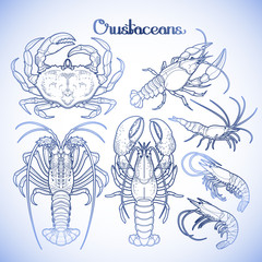 Graphic crustaceans collection