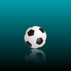 Fototapeta premium Fußball 