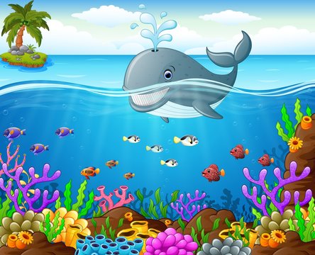 Cartoon whale under the sea