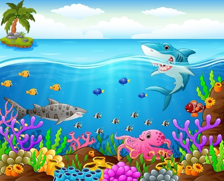 Cartoon shark under the sea