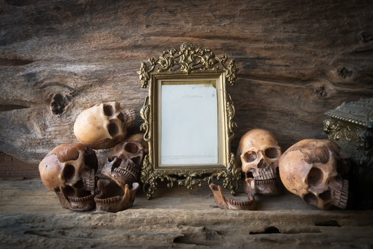 skull and frame , still life