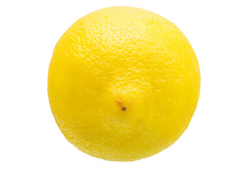 Fresh Yellow Lemon