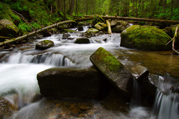 Fototapeta premium Mountain river in the green forest