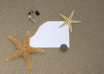 Dos estrellas de mar  y caracolas sobre fondo de arena en una playa, con espacio publicitario