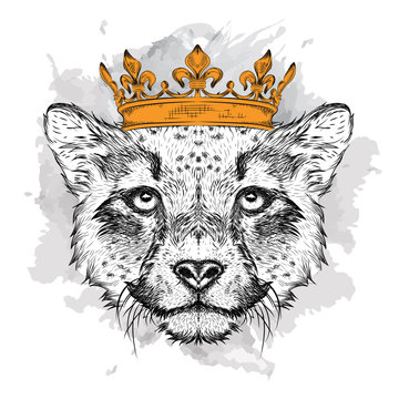Hand draw Image Portrait cheetah  in the crown. Use for print, posters, t-shirts. Hand draw vector illustration