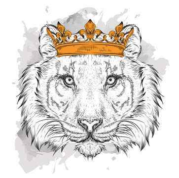 Hand draw Image Portrait tiger  in the crown. Use for print, posters, t-shirts. Hand draw vector illustration