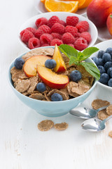 whole-grain flakes with fruit and berries, vertical
