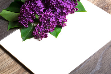 beautiful lilac flowers on wooden background