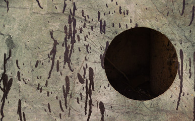 braun grüner Hintergrund mit braunen Farbspritzern und einem dunkelbraunen Kreis, der als Platz für Text verwendet werden kann