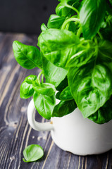Fresh basil in vintage cup on dark background. Selective focus