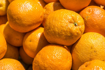 Obraz na płótnie Canvas Fresh oranges on market 