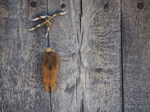 Amuletos sobre una puerta de madera gris.