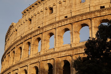Fototapeta premium Roma - colosseo (particolare)