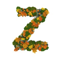 Top view forest trees font high detail white background