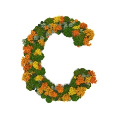 Top view forest trees font high detail white background