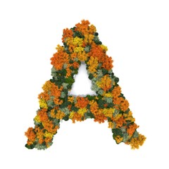 Top view forest trees font high detail white background