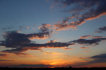 Fototapeta na wymiar beautiful sunset in the field