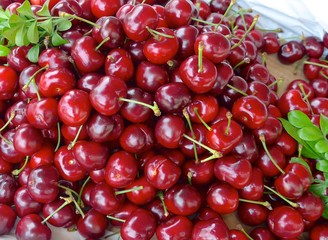 Fresh red cherries closeup at the market