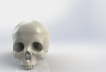 Human skull on isolated white background