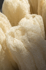 close up of loofah in the market

