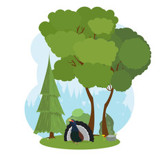  Bird in the deep woods.