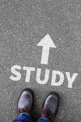 Fototapeta premium Study student studying studies education university decision