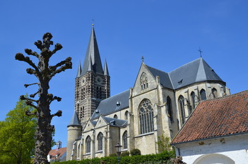 Fototapeta na wymiar Pfarrkirche St. Michael, Thorn