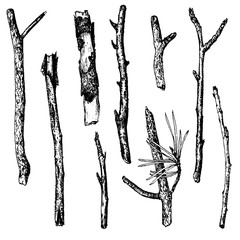 ink drawing wood twigs