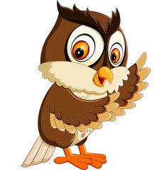 illustration of cute owl cartoon