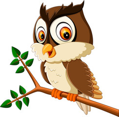 Obraz premium illustration of cute owl cartoon