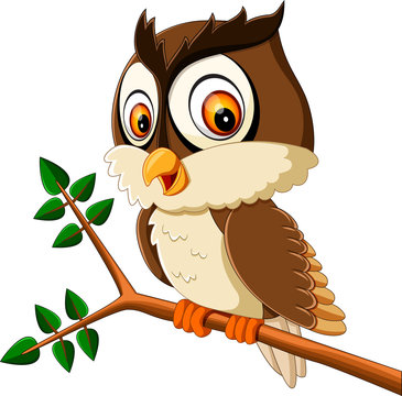 illustration of cute owl cartoon
