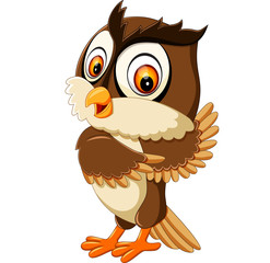 illustration of cute owl cartoon