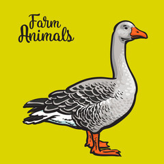 Grey goose, poultry, illustration sketch, farm feathered animal, one color and the beautiful goose on a yellow background